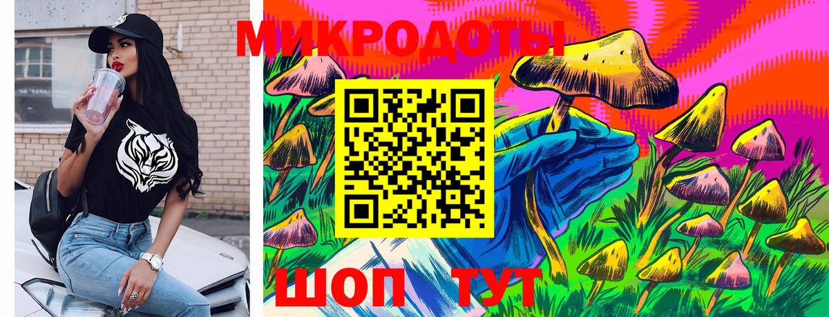 Галлюциногенные грибы мицелий Советская Гавань